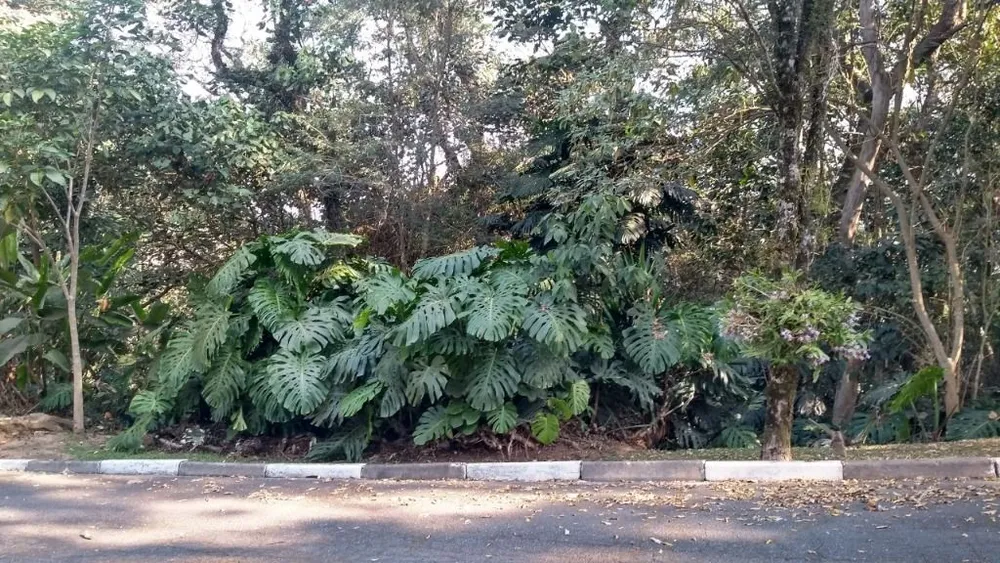 Loteamento e Condomínio, 800 m² - Foto 2