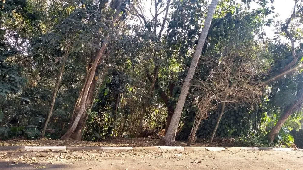 Loteamento e Condomínio, 800 m² - Foto 1