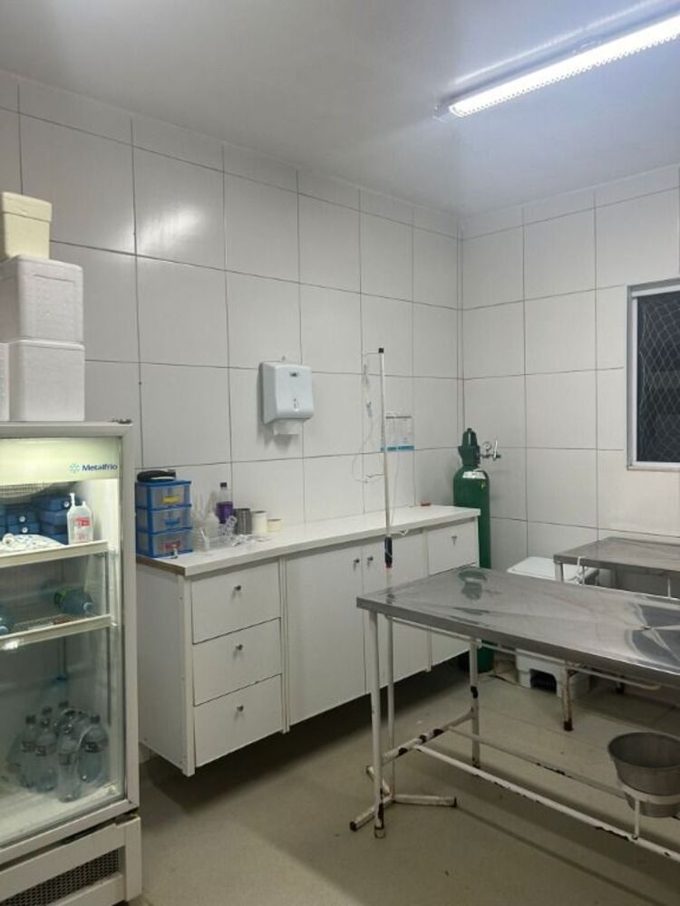 Prédio Inteiro, 200 m² - Foto 6