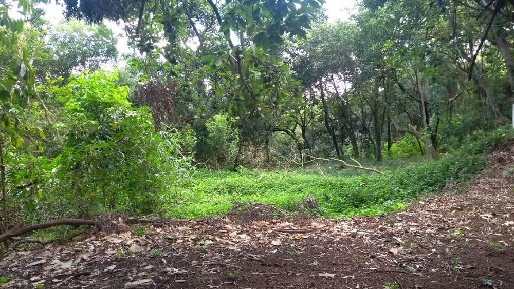 Loteamento e Condomínio, 2800 m² - Foto 1