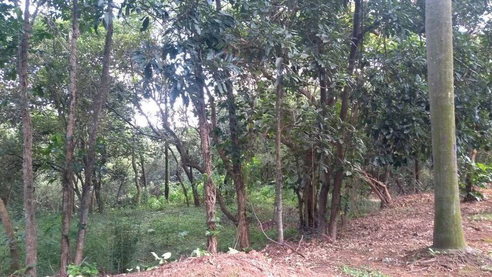 Loteamento e Condomínio, 2800 m² - Foto 3