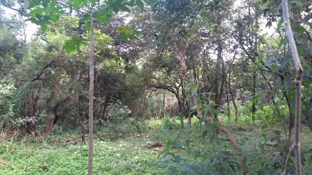 Loteamento e Condomínio, 2800 m² - Foto 2