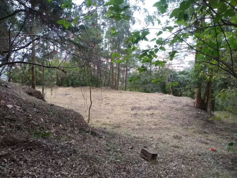 Terreno, 4000 m² - Foto 6