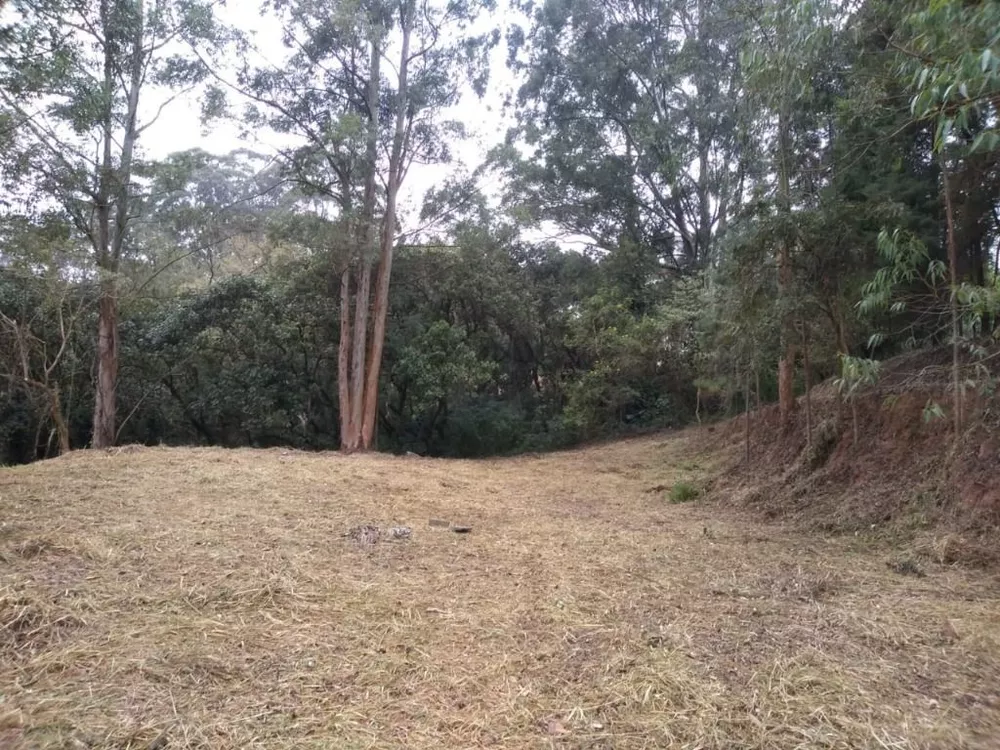 Terreno, 4000 m² - Foto 5