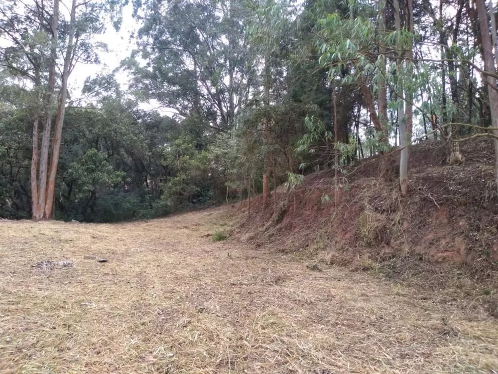 Terreno, 4000 m² - Foto 2