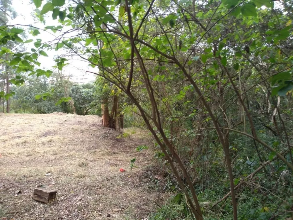 Terreno, 4000 m² - Foto 1