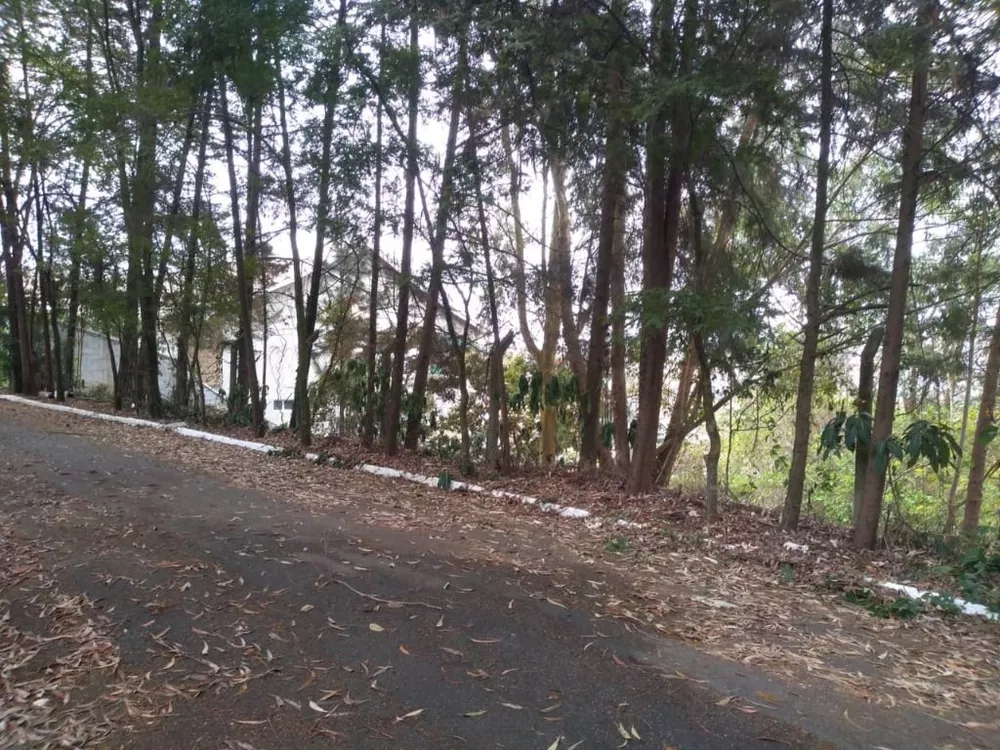 Terreno, 4000 m² - Foto 3