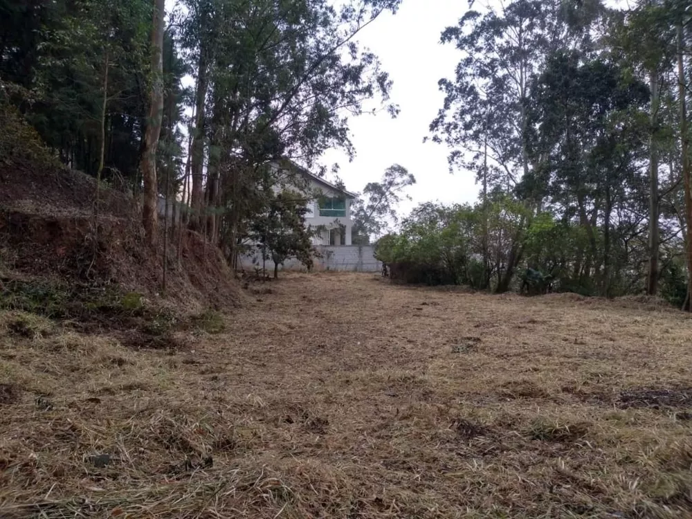 Terreno, 4000 m² - Foto 7