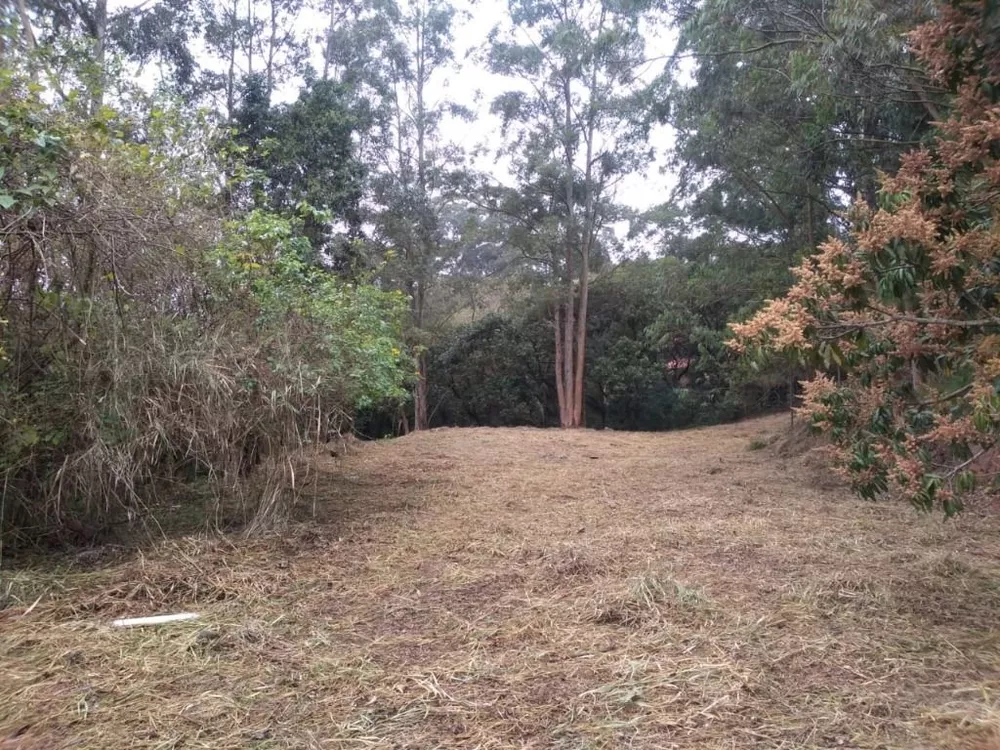 Terreno, 4000 m² - Foto 4