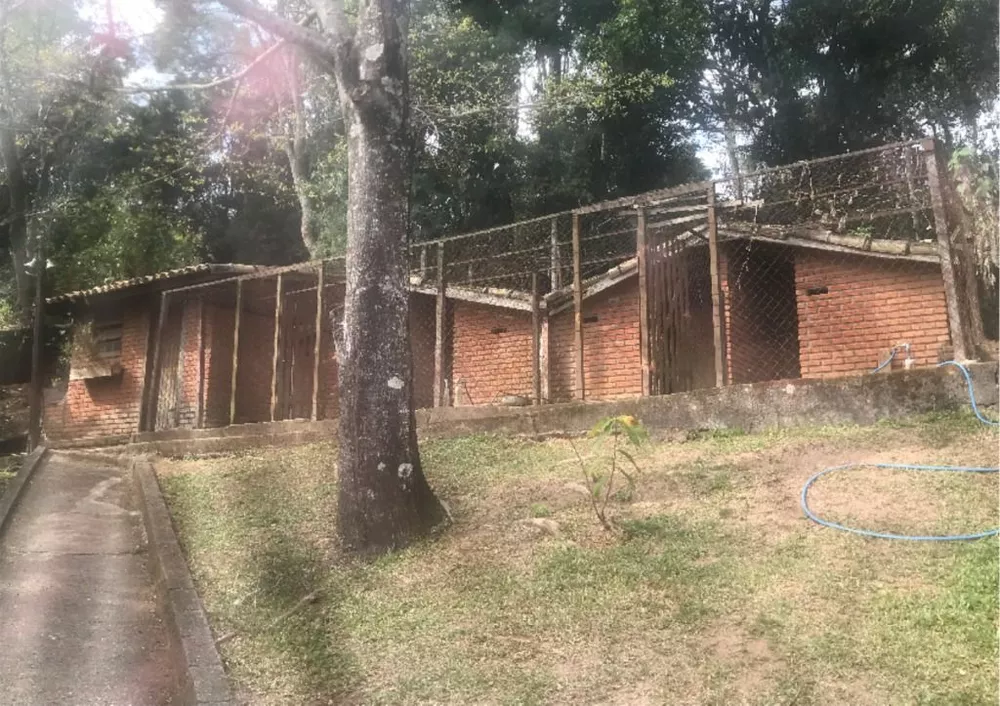Casa, 4 quartos - Foto 8