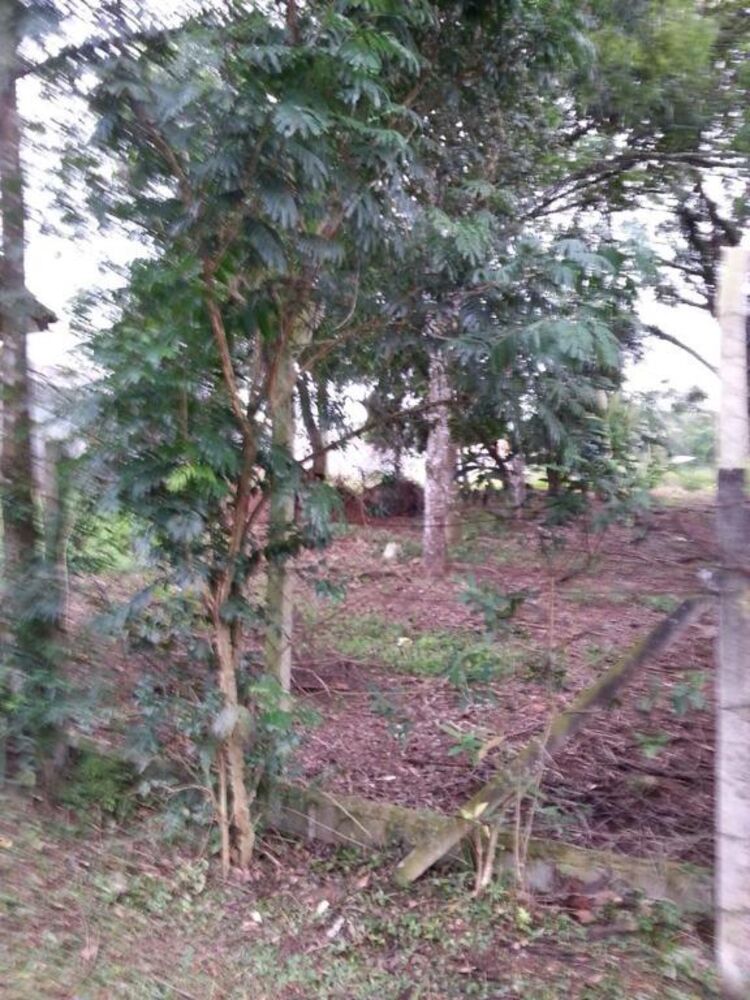 Loteamento e Condomínio, 1000 m² - Foto 2