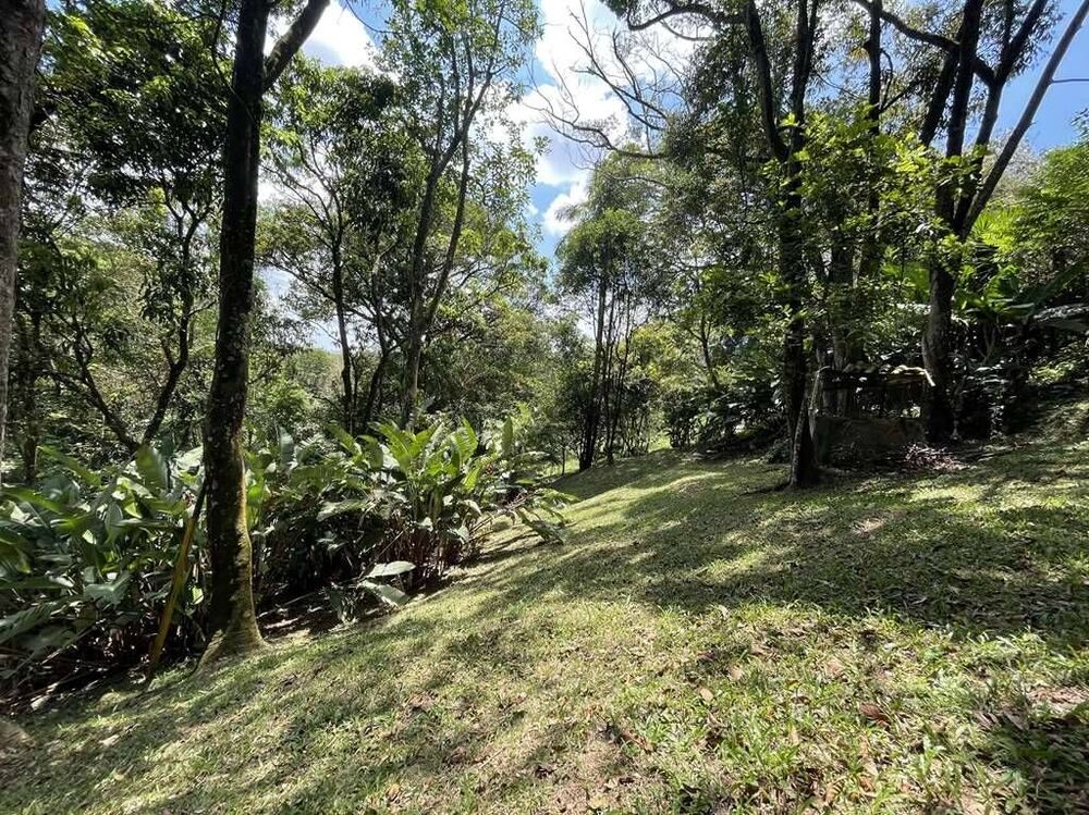 Terreno, 2 hectares - Foto 4