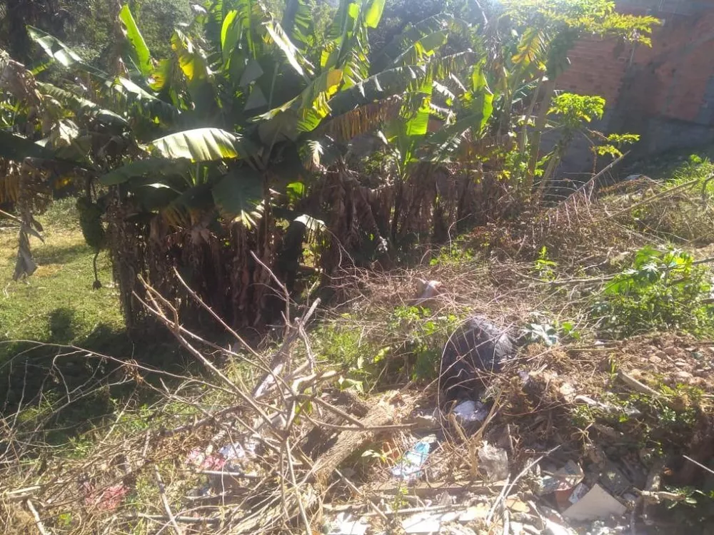 Terreno, 250 m² - Foto 7