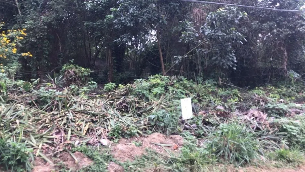 Loteamento e Condomínio, 500 m² - Foto 2