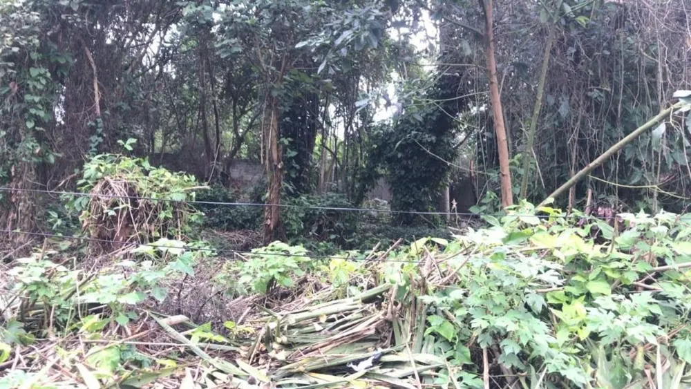 Loteamento e Condomínio, 500 m² - Foto 1