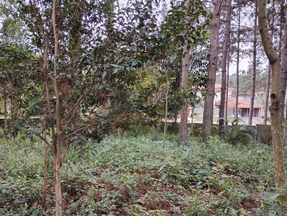 Loteamento e Condomínio, 586 m² - Foto 2