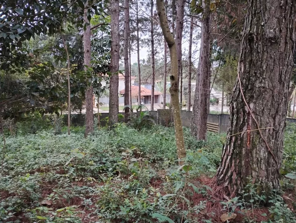 Loteamento e Condomínio, 586 m² - Foto 3