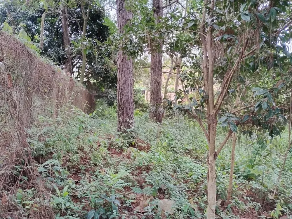 Loteamento e Condomínio, 586 m² - Foto 6