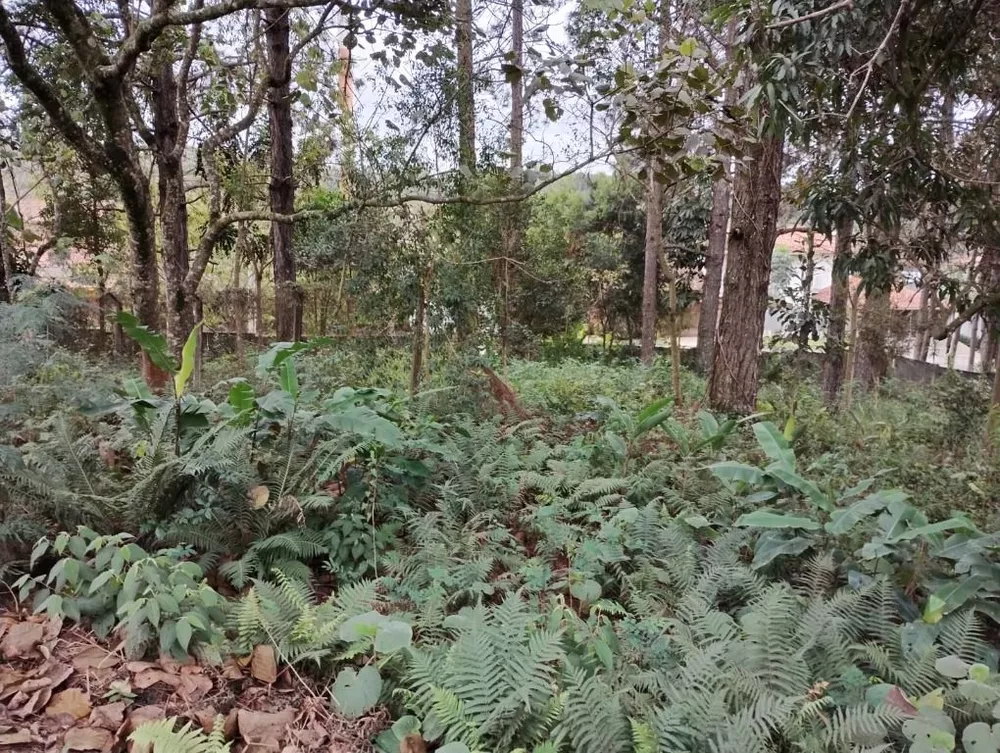 Loteamento e Condomínio, 586 m² - Foto 4