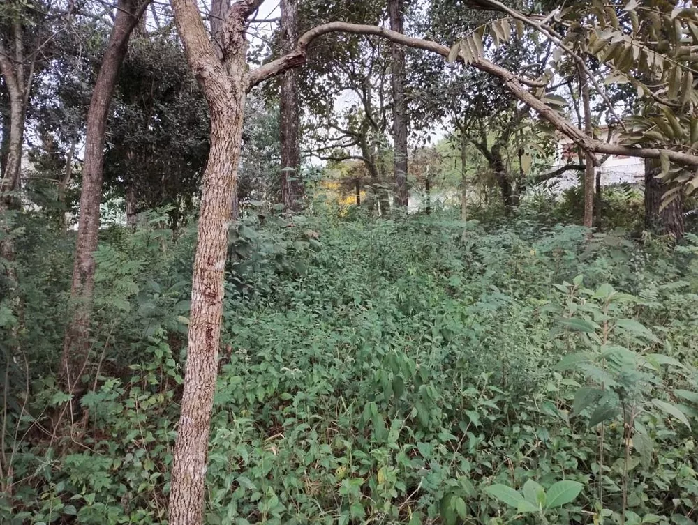 Loteamento e Condomínio, 586 m² - Foto 1