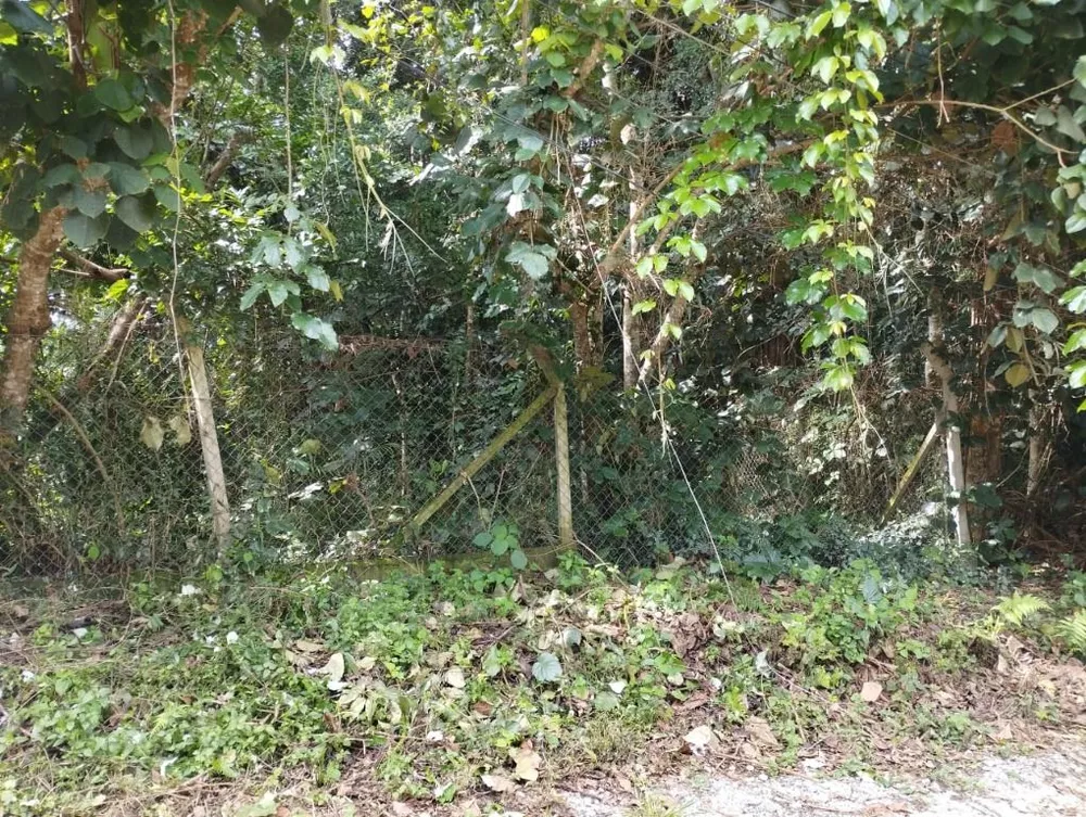 Loteamento e Condomínio, 1000 m² - Foto 4