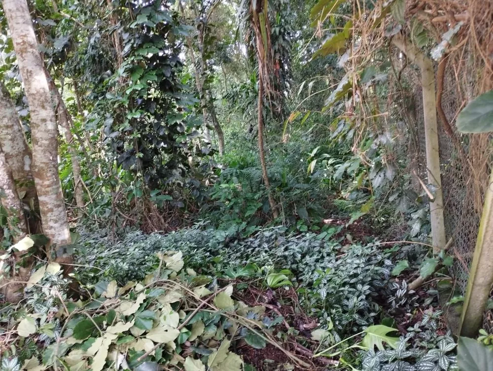 Loteamento e Condomínio, 1000 m² - Foto 3