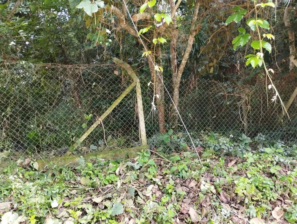 Loteamento e Condomínio, 1000 m² - Foto 2