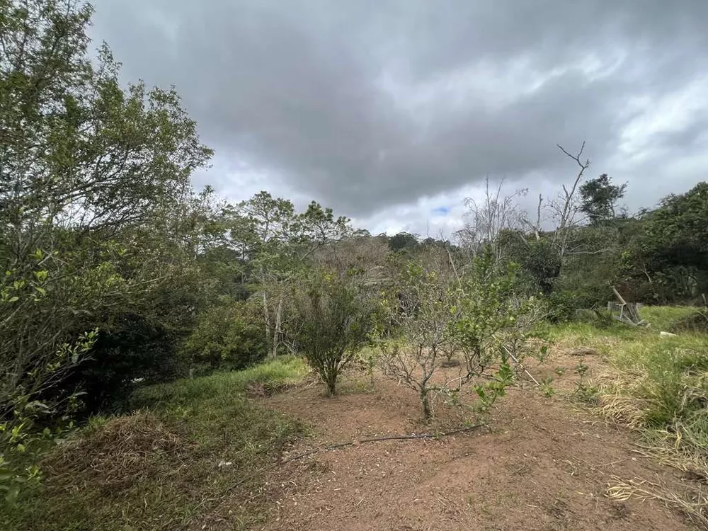 Terreno, 2 hectares - Foto 7