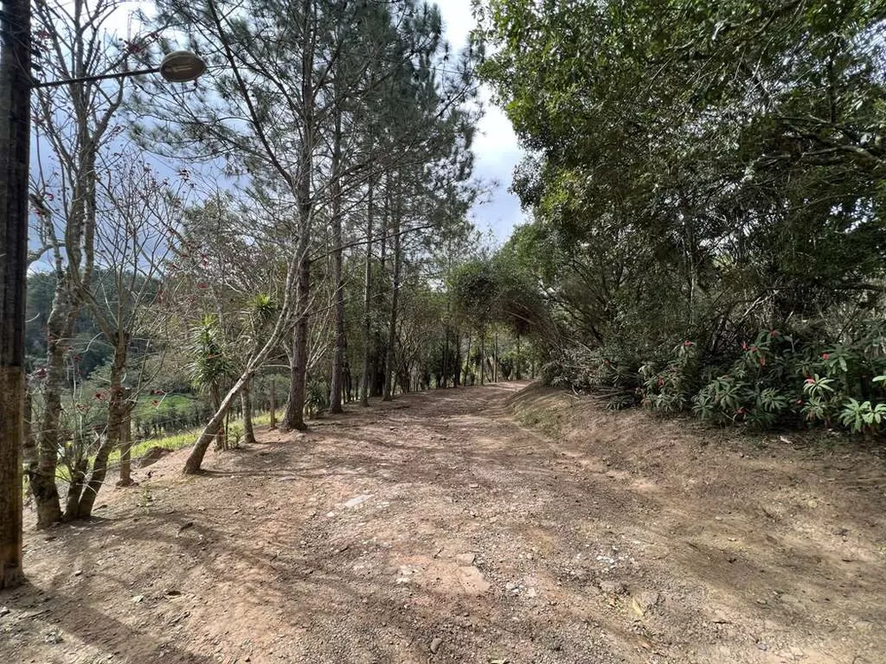 Terreno, 2 hectares - Foto 1