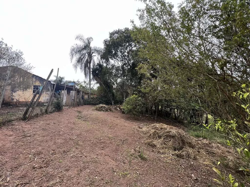 Terreno, 2 hectares - Foto 13