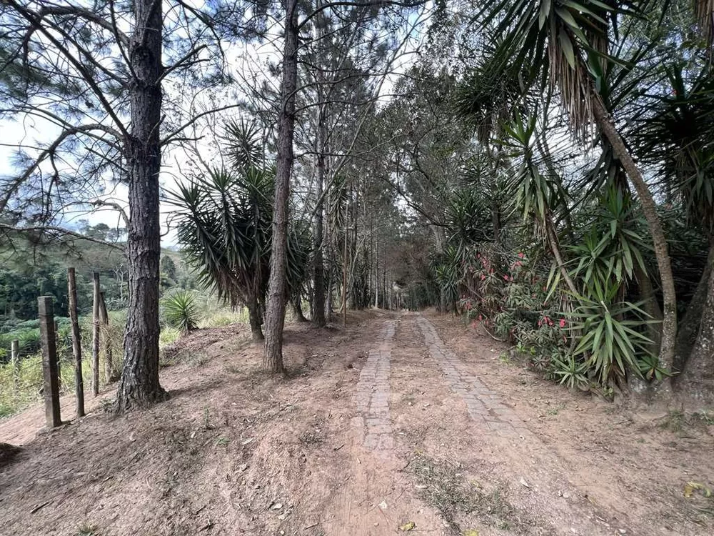 Terreno, 2 hectares - Foto 3