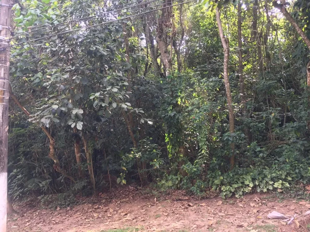 Loteamento e Condomínio, 1040 m² - Foto 2