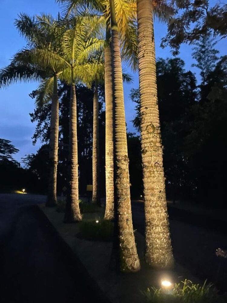 Casa de Condomínio à venda com 4 quartos, 808m² - Foto 2