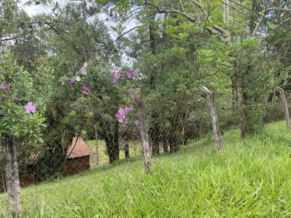 Terreno, 5000 m² - Foto 3