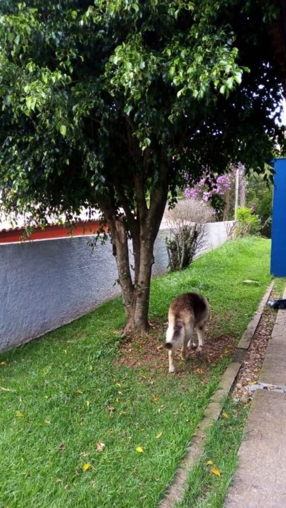 Casa de Condomínio à venda com 3 quartos, 169m² - Foto 4