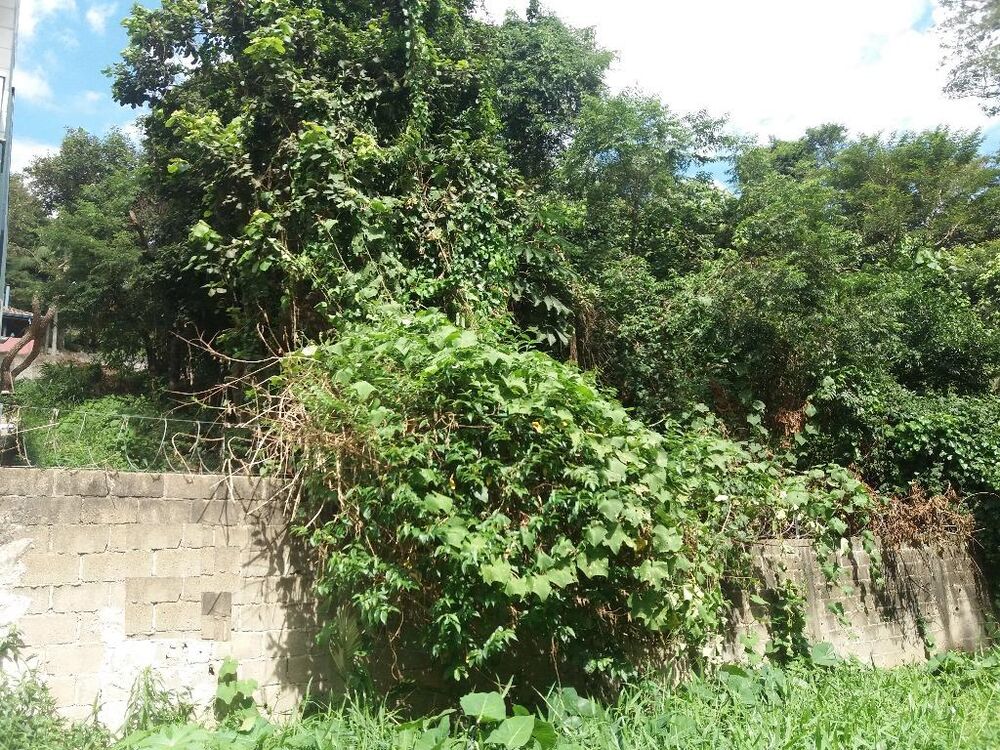 Loteamento e Condomínio, 1540 m² - Foto 4