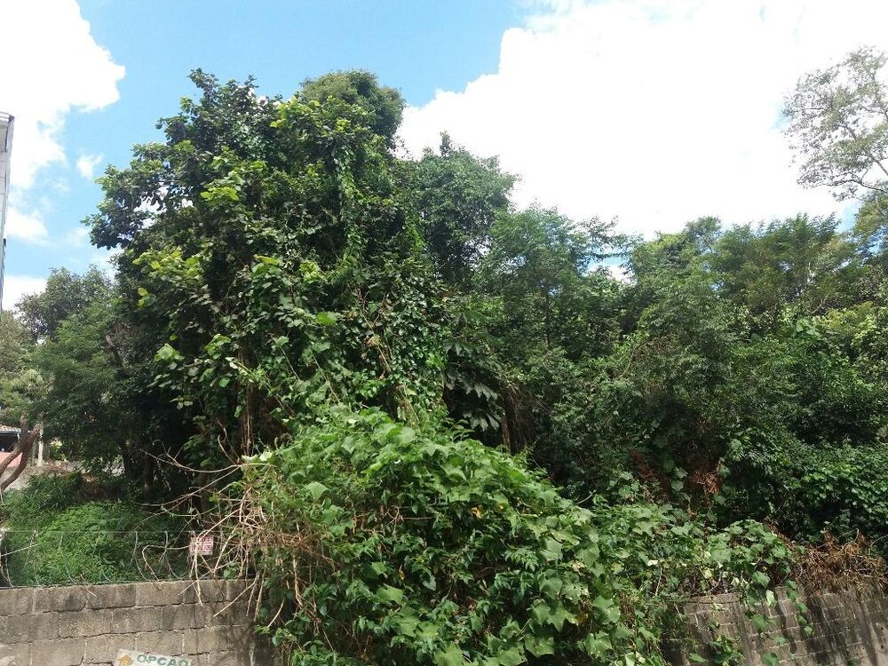 Loteamento e Condomínio, 1540 m² - Foto 3