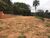 Loteamento e Condomínio, 5900 m² - Foto 15