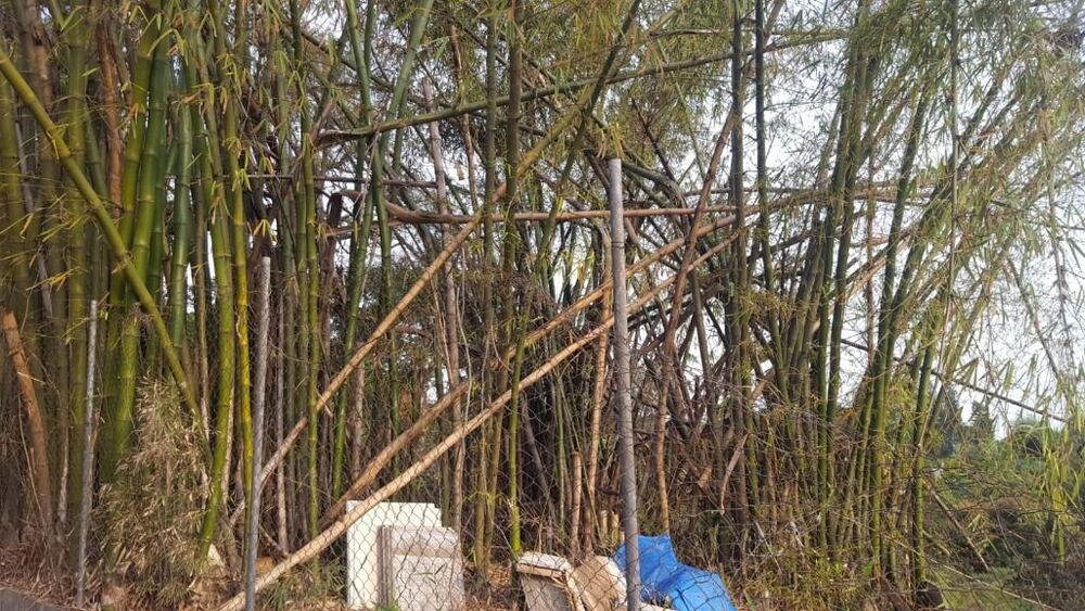 Loteamento e Condomínio, 907 m² - Foto 14