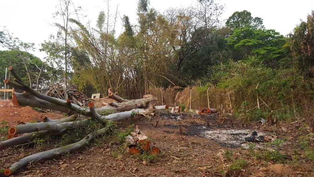 Loteamento e Condomínio, 907 m² - Foto 8