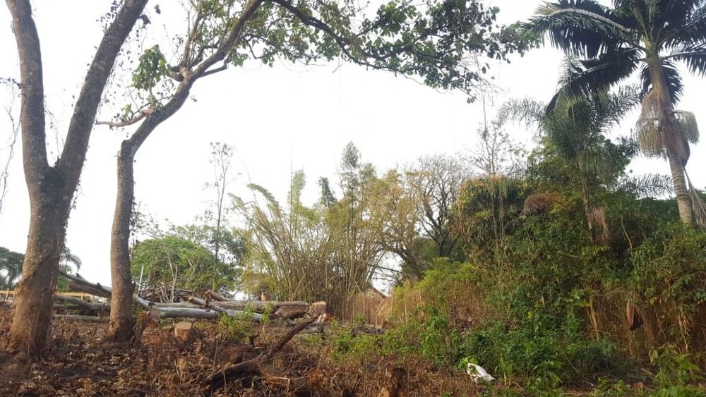 Loteamento e Condomínio, 907 m² - Foto 10