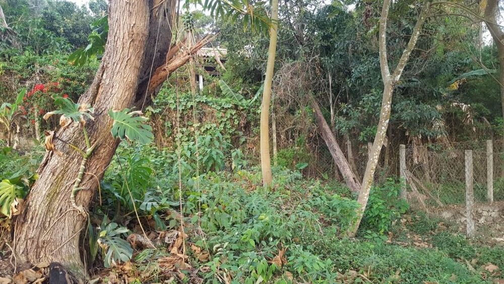 Loteamento e Condomínio, 907 m² - Foto 13