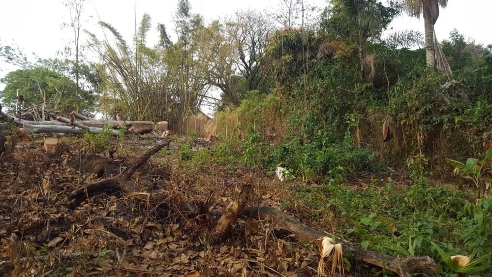 Loteamento e Condomínio, 907 m² - Foto 6