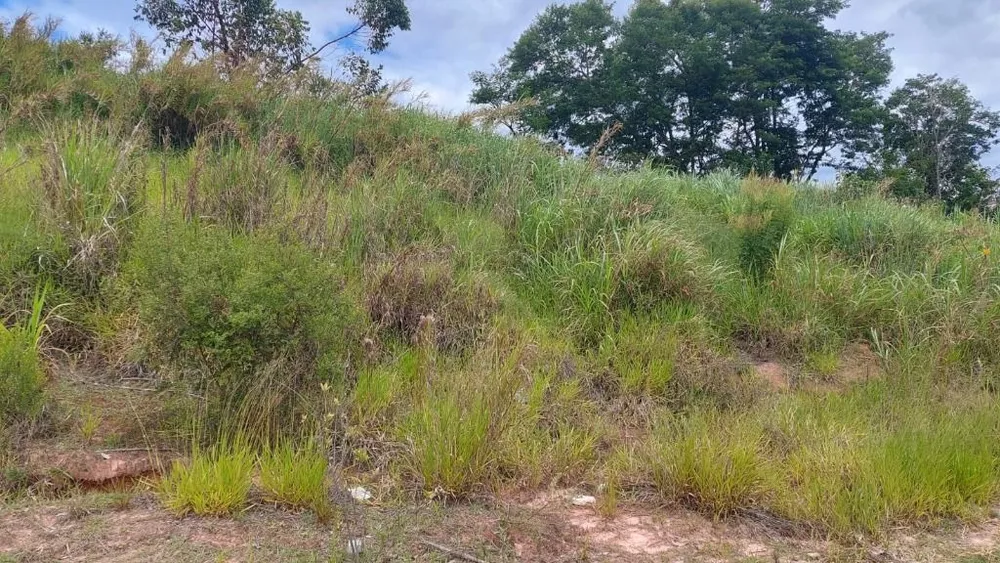 Terreno, 260 m² - Foto 13