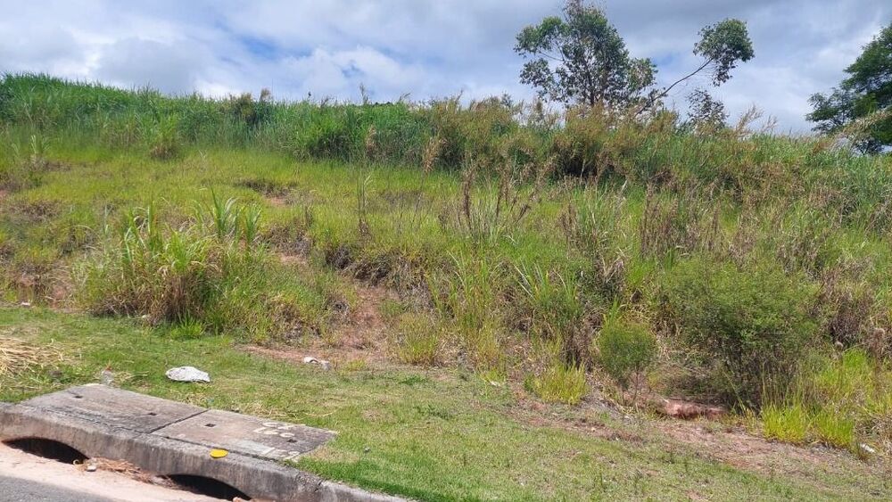 Terreno, 260 m² - Foto 7