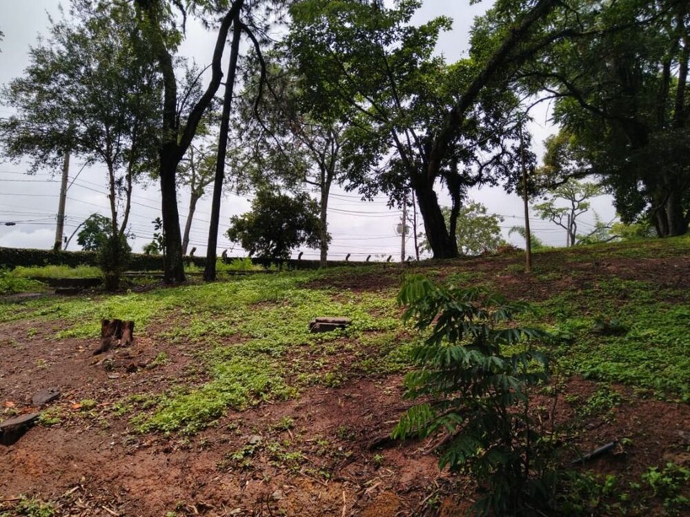 Loteamento e Condomínio, 5000 m² - Foto 3