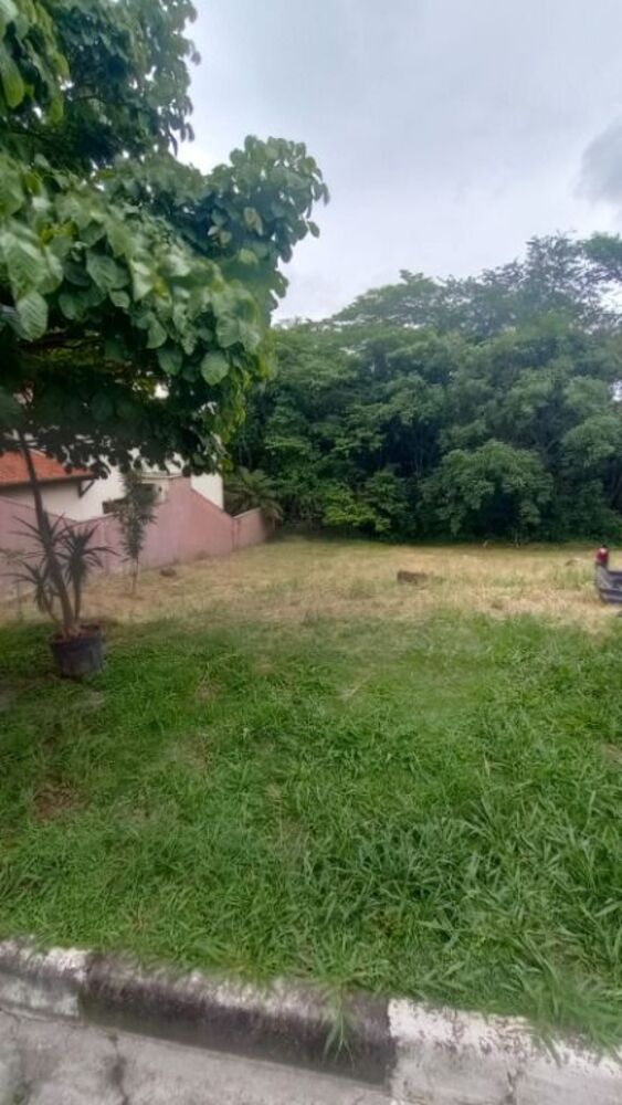 Terreno, 250 m² - Foto 1