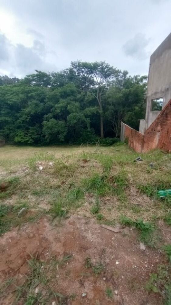 Terreno, 250 m² - Foto 3