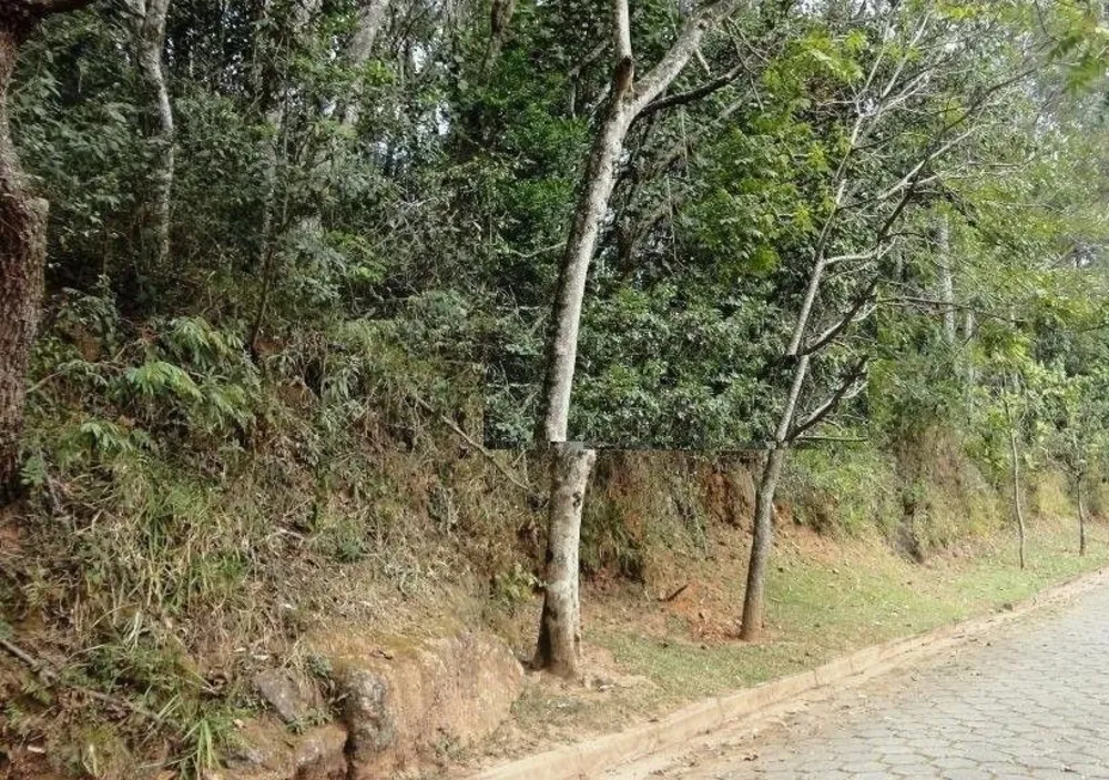 Loteamento e Condomínio, 3495 m² - Foto 2