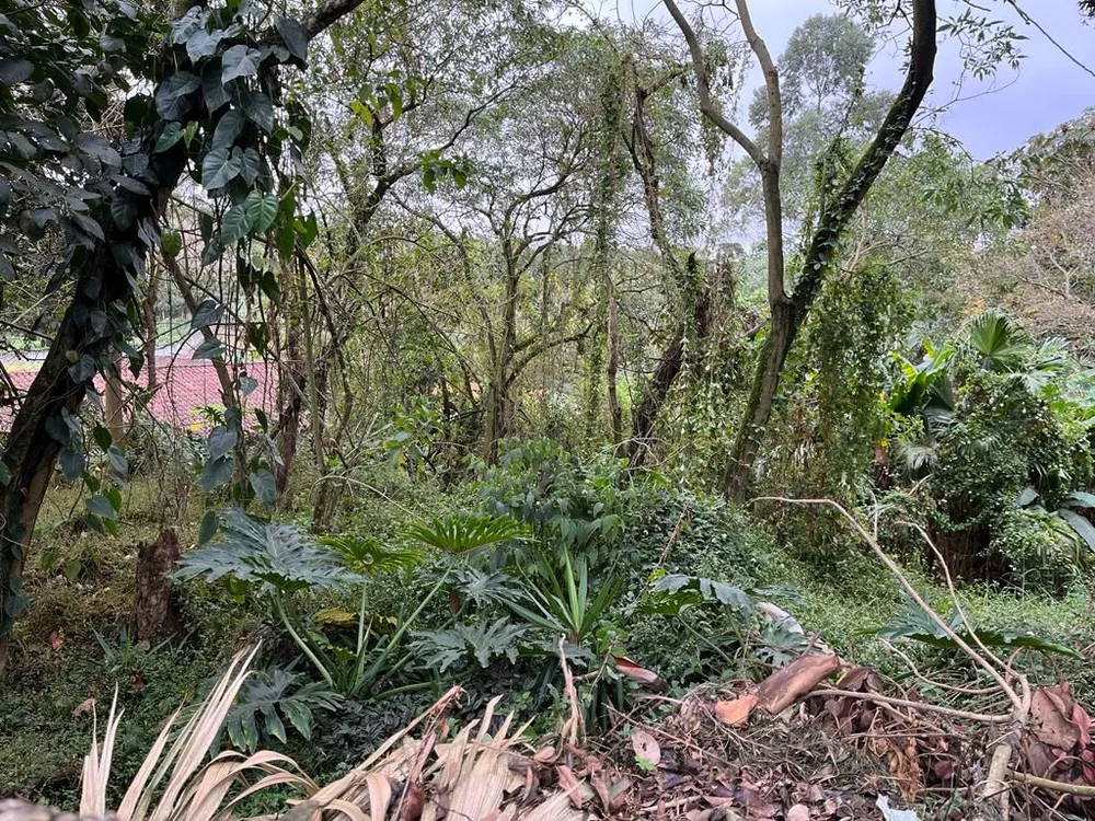 Terreno, 1459 m² - Foto 1